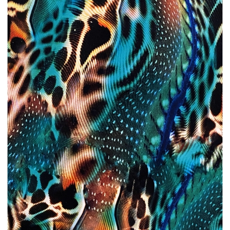 Lycra SEA CAT